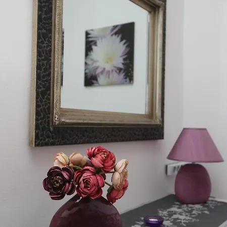 Stela * Заблаче