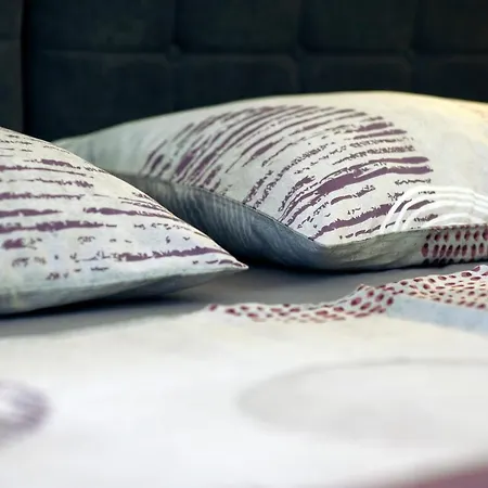 Stela * Заблаче